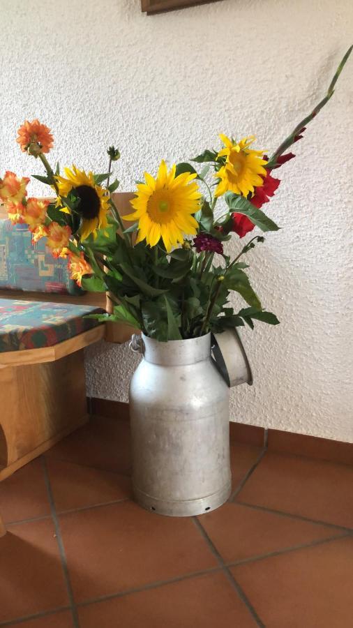Apartamento Babsi Appartments - Leben Am Land *