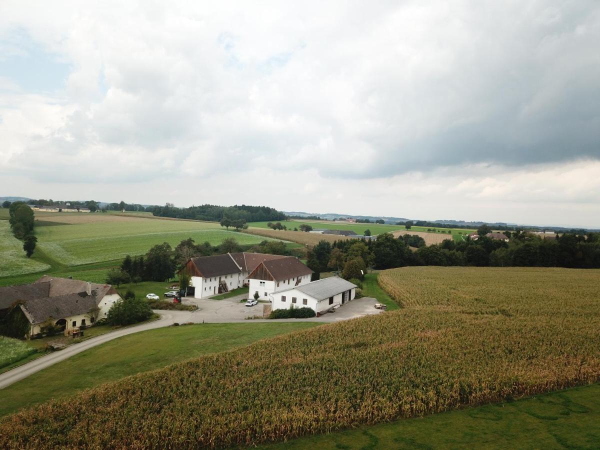 Babsi Appartments - Leben Am Land * Wels