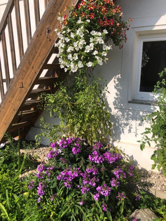 Babsi Appartments - Leben Am Land Apartment Wels